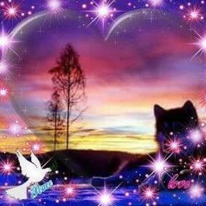 Meet your Posher, Lynnette